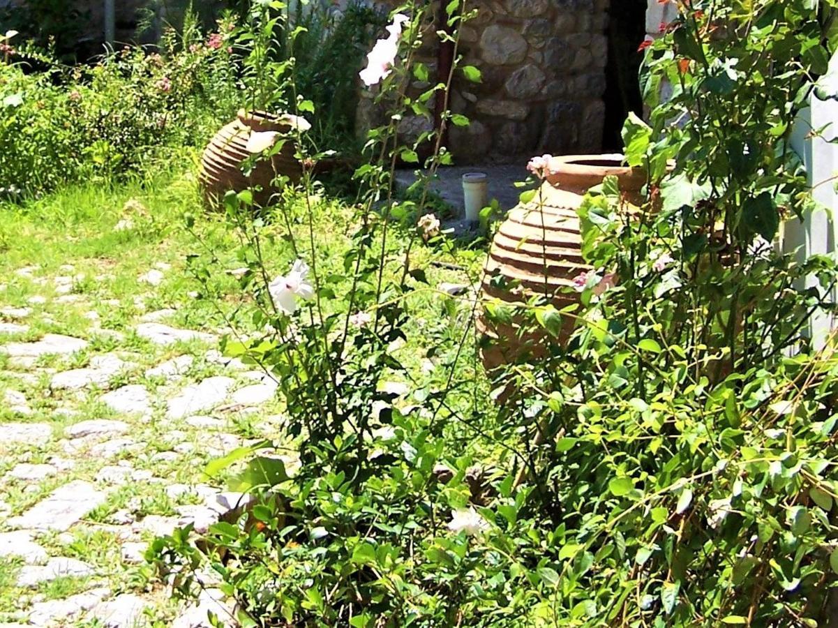 Ανεξαρτητο Studio Στο Ομορφο Καστορειο Kastorion Exterior photo